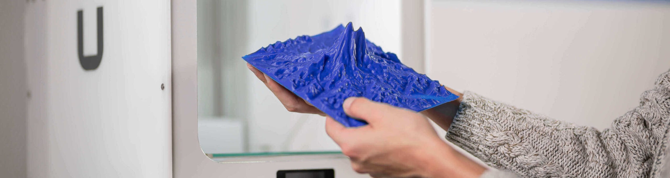 A 3D printed model