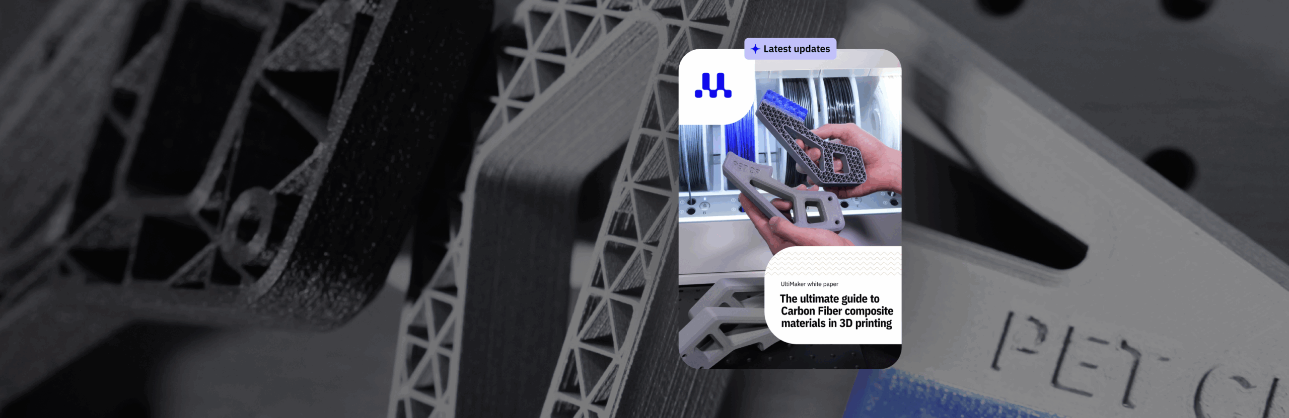 Carbon fiber composite guide_Carousel